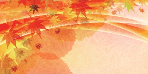 Fotobehang 紅葉　もみじ　秋　背景  © J BOY