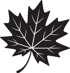 Obraz premium Falling Maple Leaf Doodle Vector with Scribbled Stem and Uneven Edges