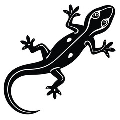 Lizard isolated on white background showing reptile wildlife silhouette with tail and natural details