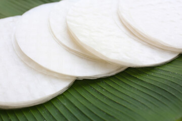 Stacked round sheets of Vietnamese rice paper