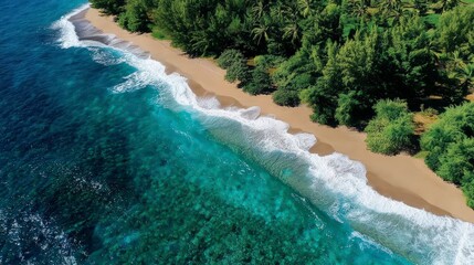 Stunning Aerial Beach Scene  Turquoise Ocean Waves Crashing on Sandy Shore