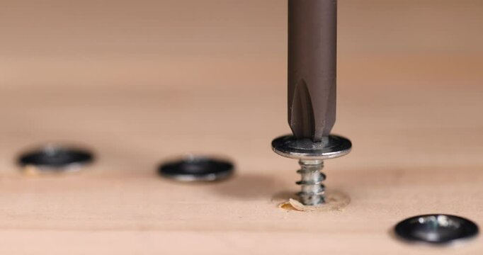 screw for fixing wooden boards and other wood materials closeup, self-tapping screws with a drill tip twisted into a pine board