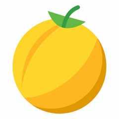 Canary Melon: Sweet Fruit

