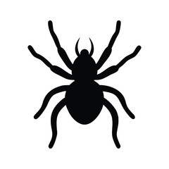 A black silhouette of a spider with a round body