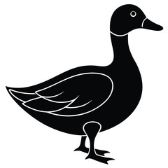 Cute duck illustration isolated on white background