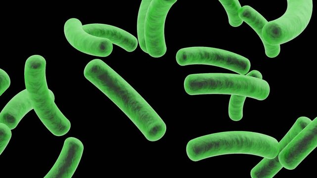 3D Animation of Gut Bacteria | Alpha Channel