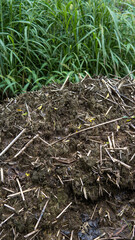 A pile of decaying organic matter sits adjacent to a field of tall green grass outdoors.
