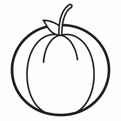 Cantaloupe outline icon on white background