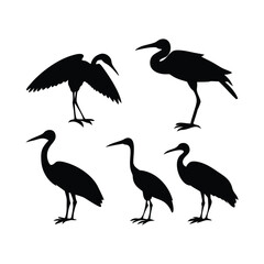 Fototapeta premium Set of heron silhouettes Vector Design.