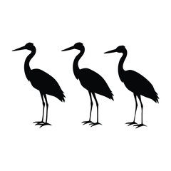 Set of heron silhouettes Vector Design.