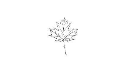 A leaf is drawn in black and white
