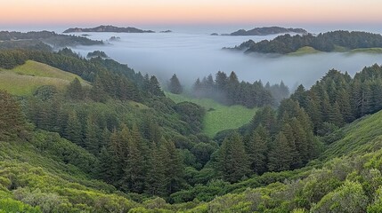 Naklejka premium Green Forest and Mist Landscape Scenery in Nature