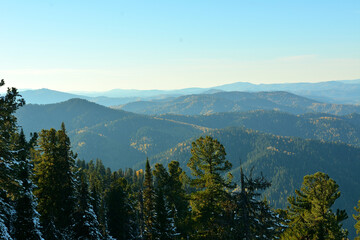 The slope of a high mountain covered with the first snow and tall cedars with a view of picturesque...