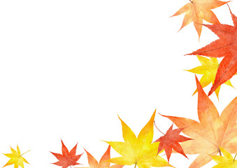 Fototapeta premium 紅葉 モミジの葉 水彩 秋 イラスト