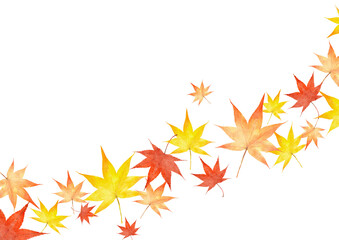紅葉　モミジの葉　水彩　秋　イラスト