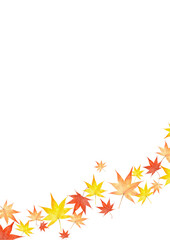 紅葉　モミジの葉　水彩　秋　イラスト