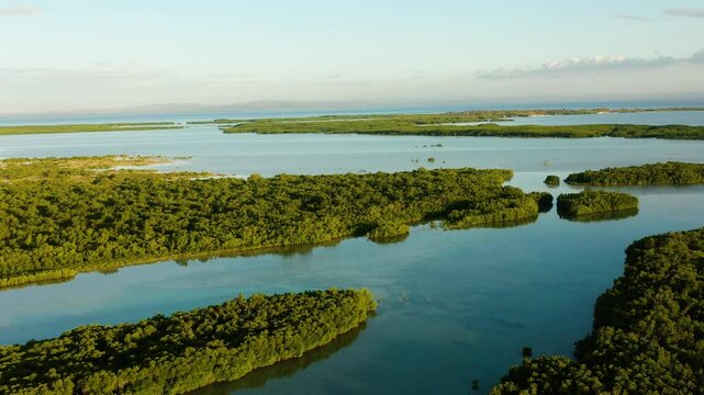 Drone view of Wildlife Sanctuary in Lapu-Lapu. Tropical rainforest with sunset. Olango Island, Cebu.