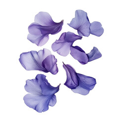 Close up of purple flower petals