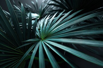 Fototapeta premium Lush green tropical palm leaves with detailed textures and natural lighting in a vibrant indoor garden scene, perfect for botanical and nature themes