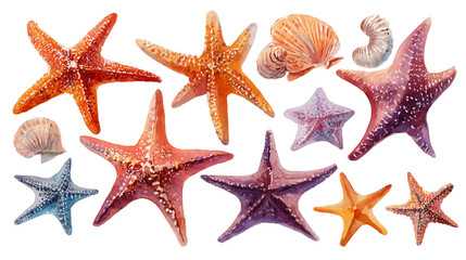 Colorful Starfish and Seashell Collection on Transparent Background, PNG