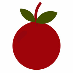 Cranberry silhouette on white background