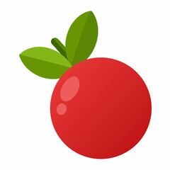 Cranberry: Tart Berry

