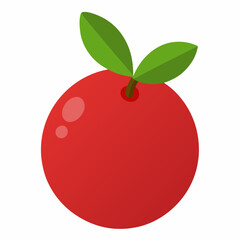Cranberry: Tart Berry

