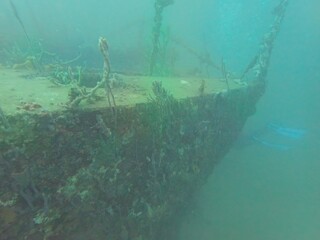 Scuba diving in Bocas del Toro, Panama (near Isla Col&oacute;n)