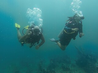 Scuba diving in Bocas del Toro, Panama (near Isla Col&oacute;n)