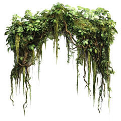 Large archway of green vines and leaves