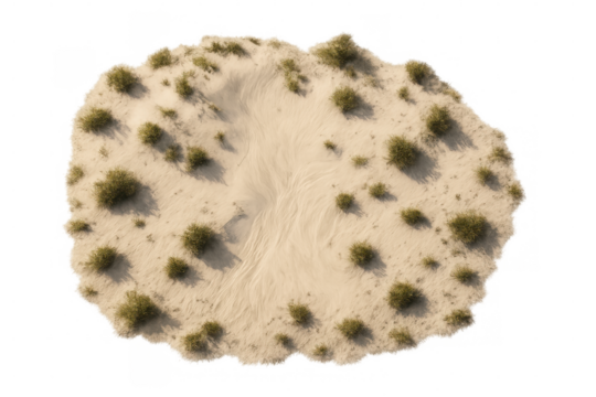 Top view of a sand dune with sparse vegetation, isolated on transparent background, ideal for landscape visualization and compositing