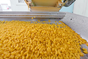 Vibrant pasta flows from the production line on a vibrating sieve at a bustling manufacturing plant