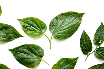 Fresh wild betel leaves with flower