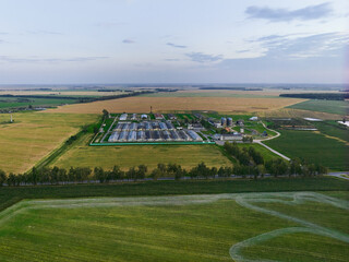 Fototapety na wymiar - Fototapeta24.pl