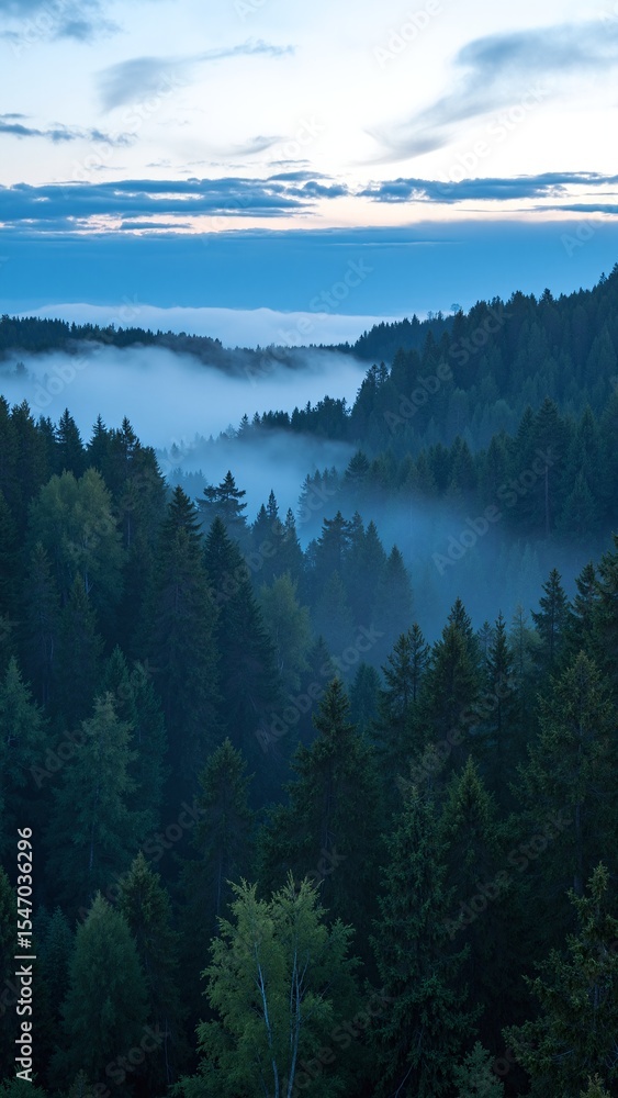Poster a lush forest teeming with a diverse array of tall, green trees, their leaves creating a vibrant can