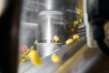 Pasta extrusion process creating shapes from dough in a factory setting