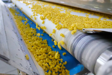 Fresh pasta gliding on a conveyor belt in a bustling factory setting during the daytime