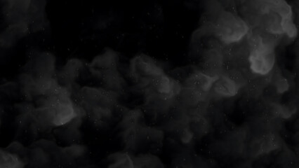 Black and White Smoke Background with Subtle Floating Particles Effect