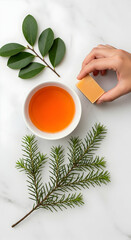 Natural Herbal Tea with Green Leaves and Pine Branches