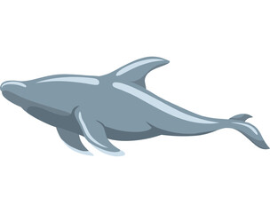 Illustration of a Dolphin Swimming