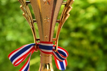 beautiful golden trophy with thailand ribbon on green tree background