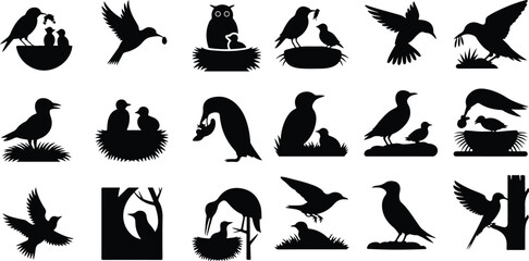 Mother Bird with Baby Chicks Vector Silhouette Set Bird Feeding Chicks Silhouette Set – Nature Care Icon Collection