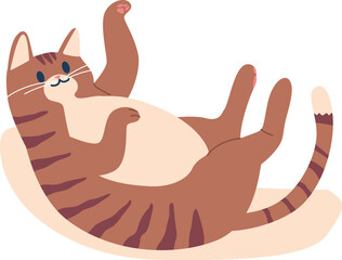 Funny lazy cat in hammock