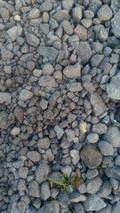 A collection of small gravel stones commonly used for construction, landscaping, or as a base layer in roads and pathways. These pebbles vary in size and color, offering a natural and durable surface.
