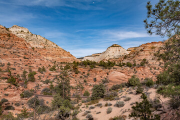Zion National Park, Utah. Navajo Sandstone / Sedimentary rocks, cross-bedding / cross-stratification