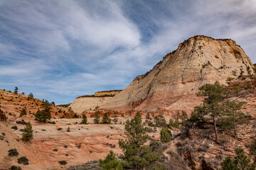 Zion National Park, Utah. Navajo Sandstone / Sedimentary rocks, cross-bedding / cross-stratification