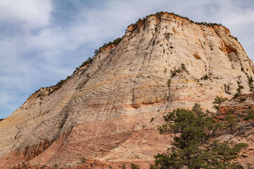 Fototapeta premium Zion National Park, Utah. Navajo Sandstone / Sedimentary rocks, cross-bedding / cross-stratification