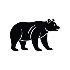 silhouette of bear