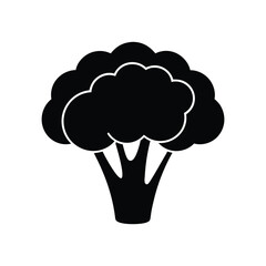 Cauliflower  isolated on white background