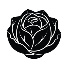 cabbage ‍silhouette icon